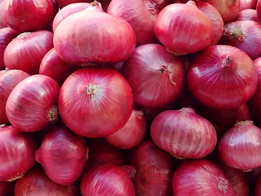 7.red-onion-24784_1024x1024