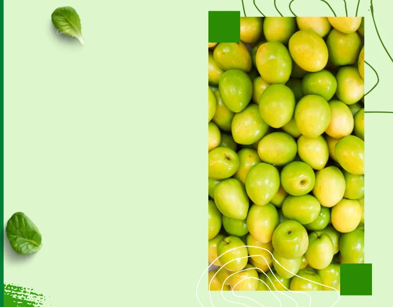 Fresh Jujube