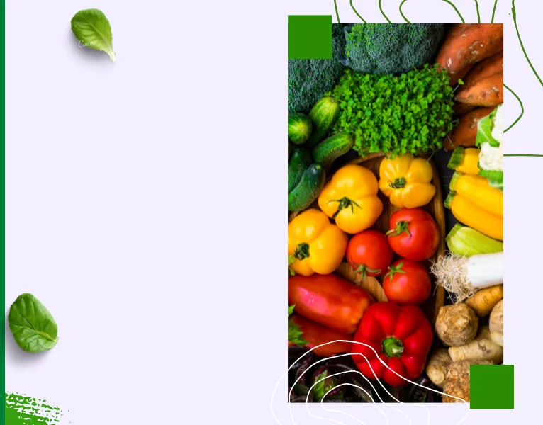Fresh vegetables Exporter