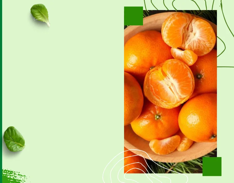 Fresh Mandarins Exporter