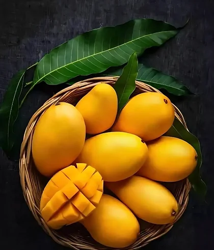 Products Images 8