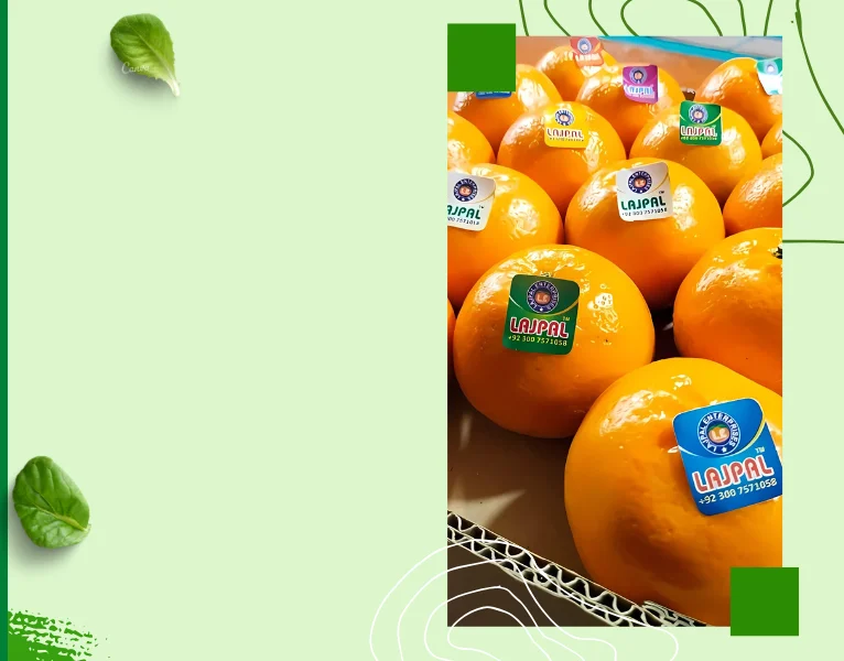 Lajpal Products Images 23