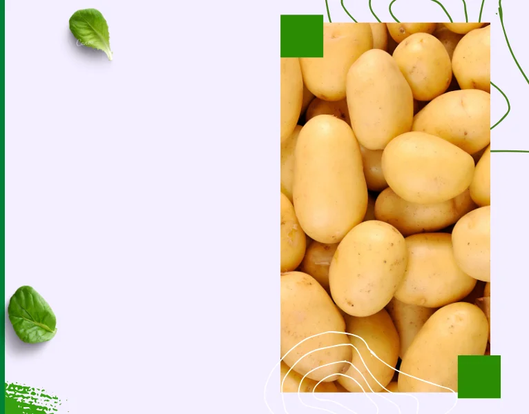 Lajpal Products Images 24