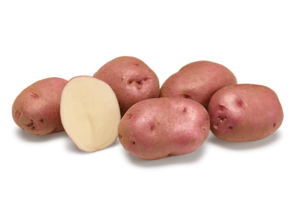 lajpal potato 1